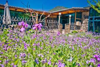 Hotel Beijing Shiguang Greatwall Boutique Inn