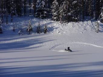 Alpenglow Bed And Breakfast