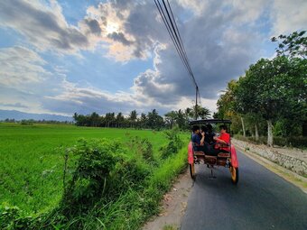 Hostal Borobudur Bed & Breakfast