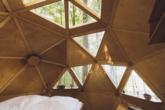 Robins Nest Baumhaushotel