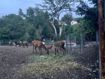 Hotel Rancho Agua Salada