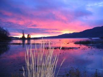 Bed & Breakfast Inn The Estuary