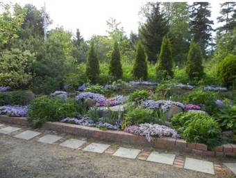 Tranquil Times Bed & Breakfast