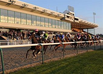 Hotel Holiday Inn Garden Court  Wolverhampton