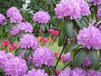 Bed & Breakfast Maison D'h�tes "les Egrignes"