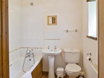 Sorrel