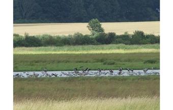 Holiday Home Postomino Pieszcz