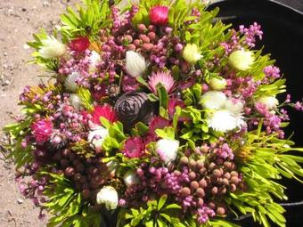 Agroturismo Paardenberg Farm Cottages