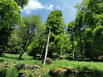 Apartments Rogla Lukanja 2