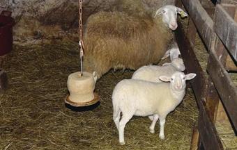 Holiday Home Semic With Fireplace 02