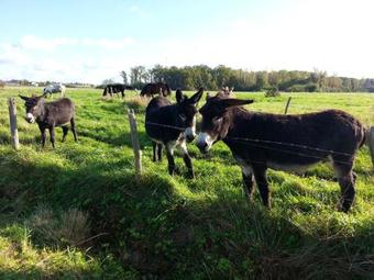 Holiday Home Route D'egreville