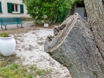 Beautiful Apartment In M�ze With Swimming Pool