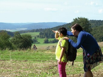 Wooden Bungalow With A Terrace, In A Wooded Area
