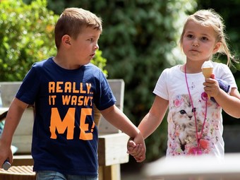 Cozy Lodge With A Dishwasher, In The Achterhoek