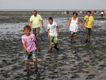 Luxury Villa With 3 Bathrooms, Not Far From The Sea On Texel