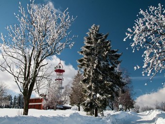 Comfortable, Spacious Villa With Landscaped Garden And Large Terrace