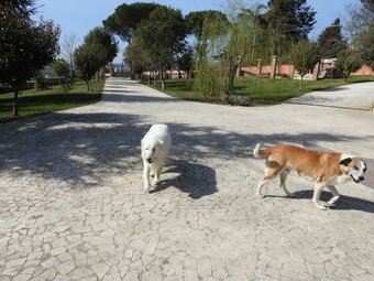 Apartamento Alloggio Turistico Confortevole Passo Co