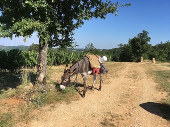 Bed & Breakfast Un Chemin En Quercy