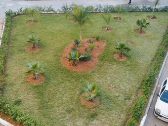 Apartamentos Appartement Luxueux � Rabat