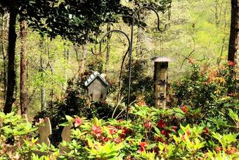 Hook Wine And Linger