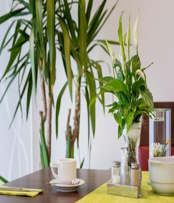 Hotel Weinpension Haberkern