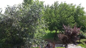 Agroturismo Agriturismo La Pace