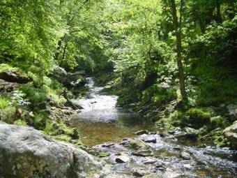 B&B Le Petit Normand