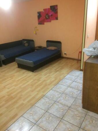 Apartment Pionerskaya 16