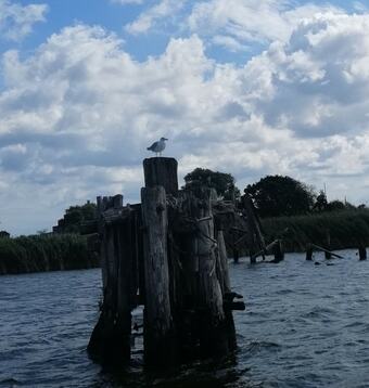 Apartamentos Wohnung Ahlbeck