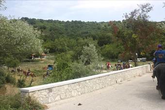 Centro-ippico La Lente Cavalieri