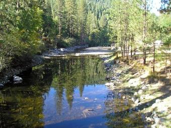 Yosemite Lakes Meadow Yurt 19