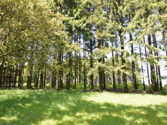 Lodge Holiday Home Le Chevreuil Hatrival