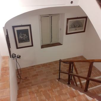 Ver fotos