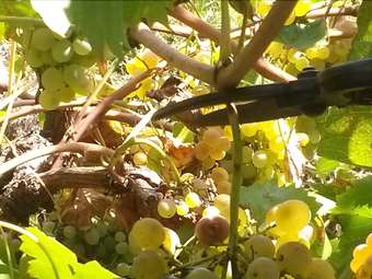 Agroturismo Agriturismo Ai Monaci