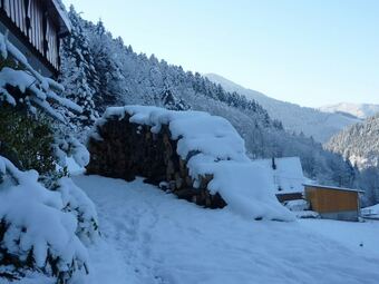 Great Holiday For Groups Or Multiple Families On A Beautiful Black Forest Farm