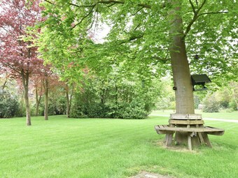 Comfortable Holiday Home In Lieveren Drenthe With Terrace