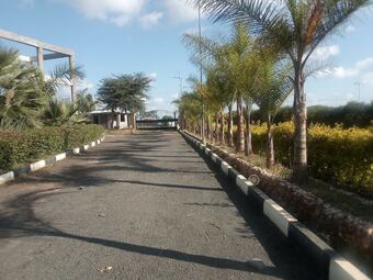 Hotel Ph Cai Resort