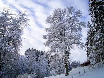 Hotel Gasthof Braun