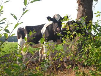 Holiday Home With A Dishwasher, 3 Km. From Hellendoorn Park