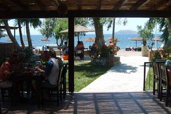 Bed & Breakfast Arriba Pension & Restaurant