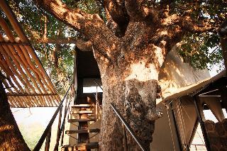Hotel Jackalberry Tented Camp