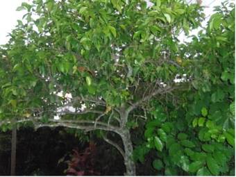 Bed & Breakfast Dayspring Lodge