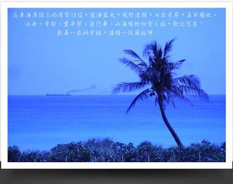 Bed & Breakfast Millennium Beach House