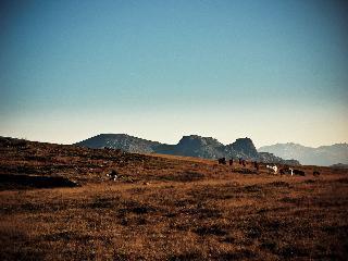 Hotel Castrum Villae