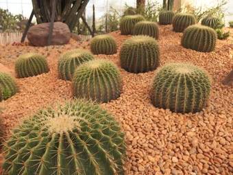 Hotel Play La Ploen Boutique Resort And Adventure Camp