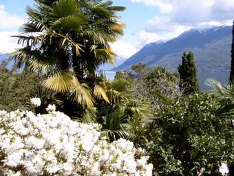 Bed & Breakfast Venus Garden