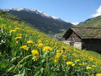 Apartamento Ferienwohnung Mura