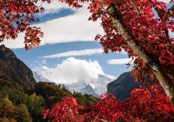 Alpine-inn By Jungfrau Hotel