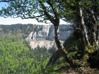 Agroturismo Chambre D'h�tes Petit Martel