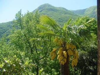 Apartamento Casa Aries